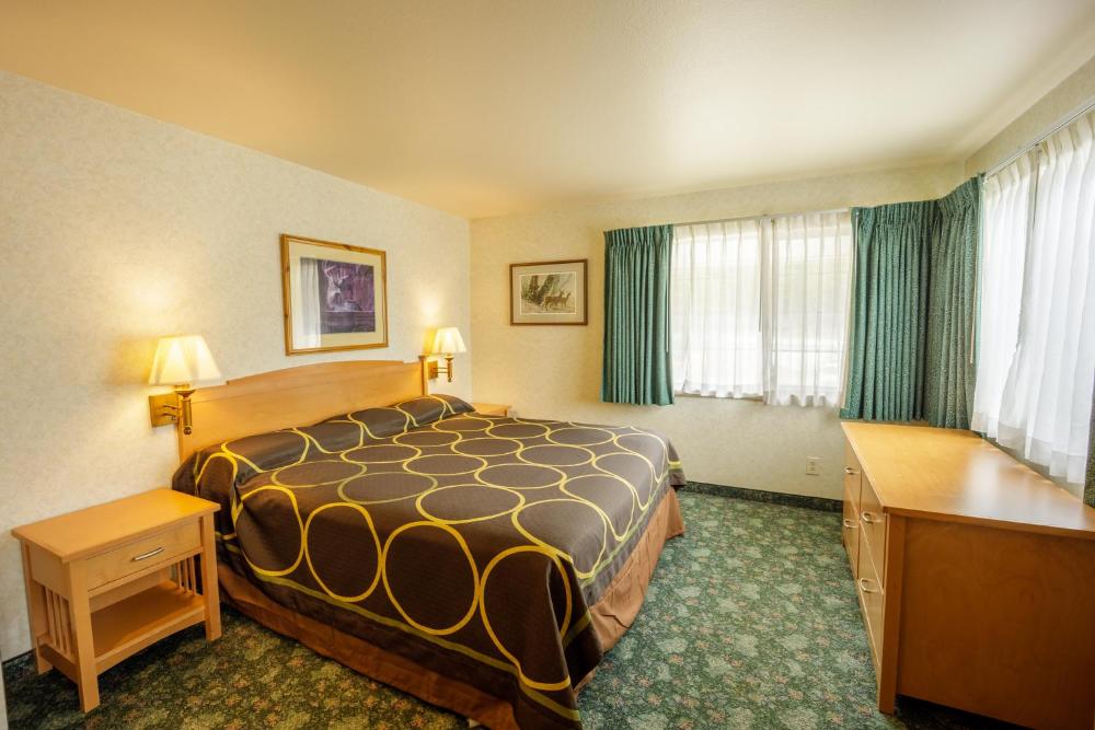 King Room Pet Free interior